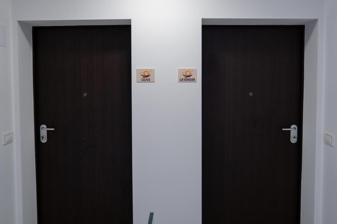 Apartments Mandre II 部屋 写真